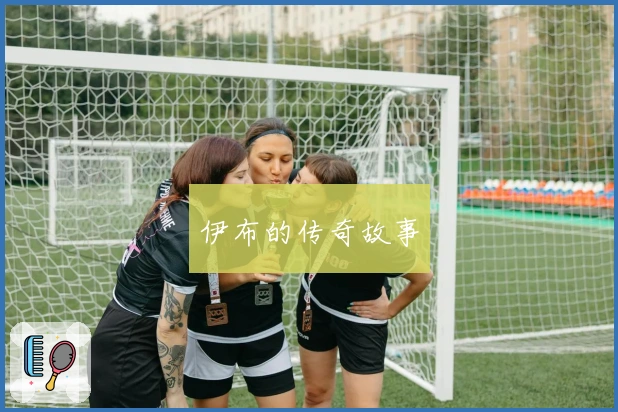 伊布的传奇故事